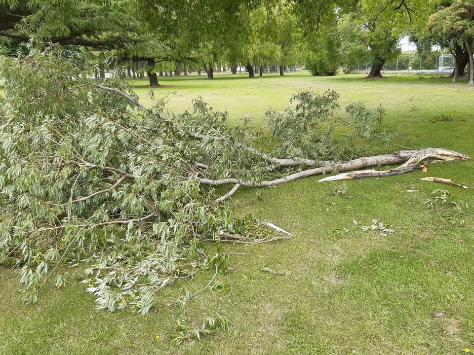The photograph attached to this parks report