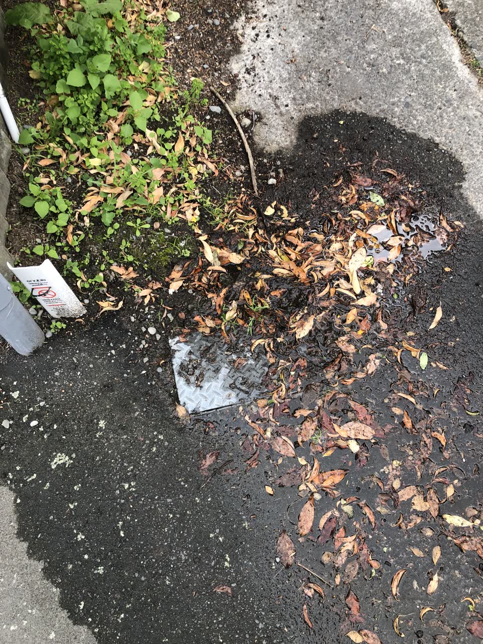 The photograph attached to this water leak report