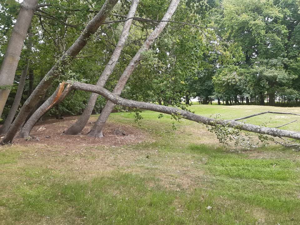 The photograph attached to this parks report