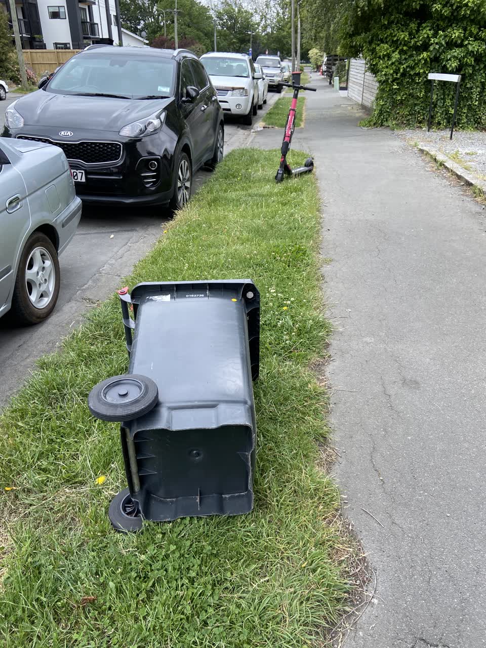 The photograph attached to this rubbish/recycling report