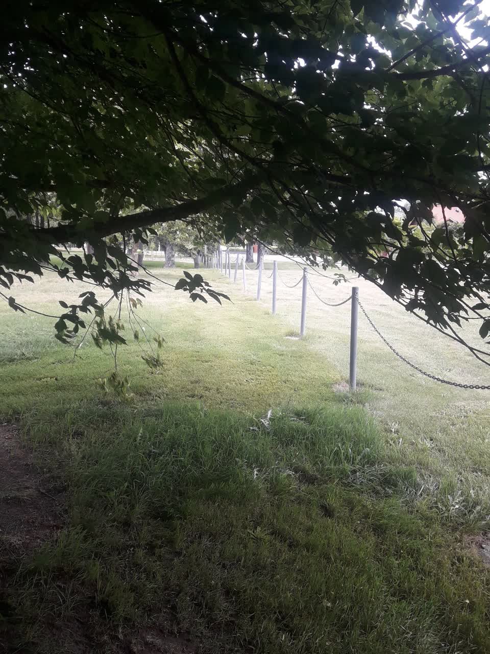 The photograph attached to this parks report