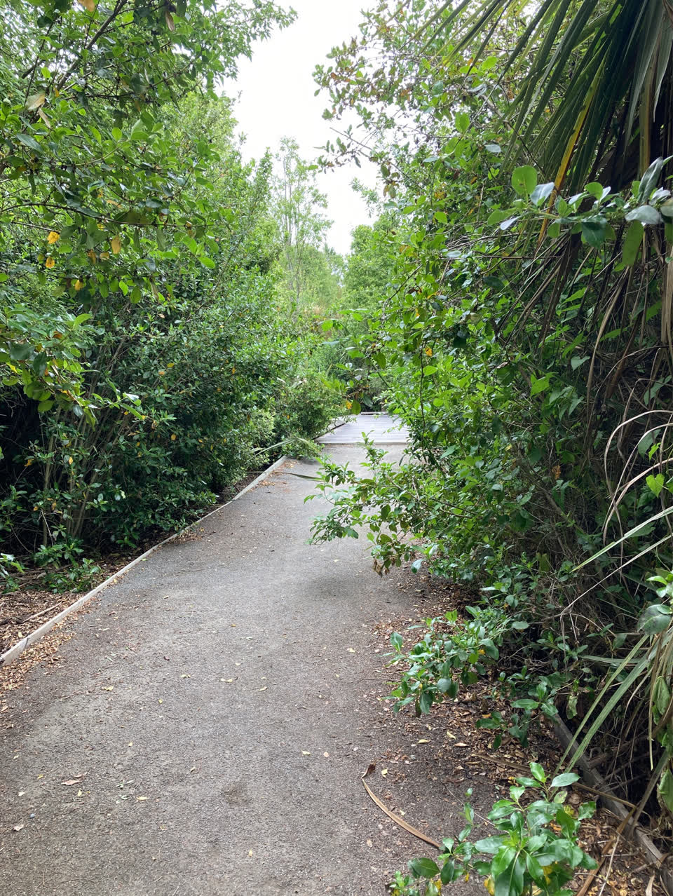 The photograph attached to this parks report