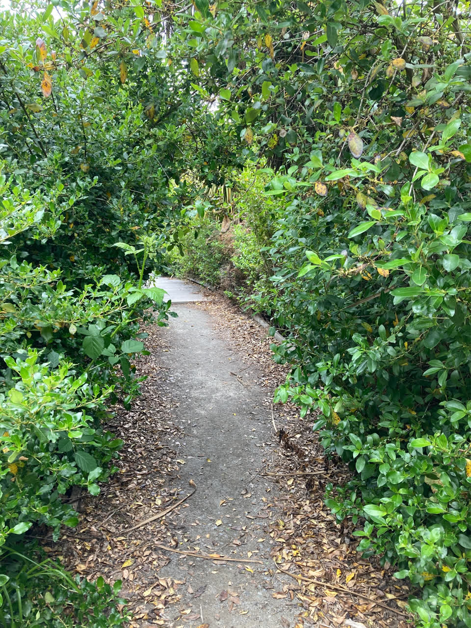 The photograph attached to this parks report