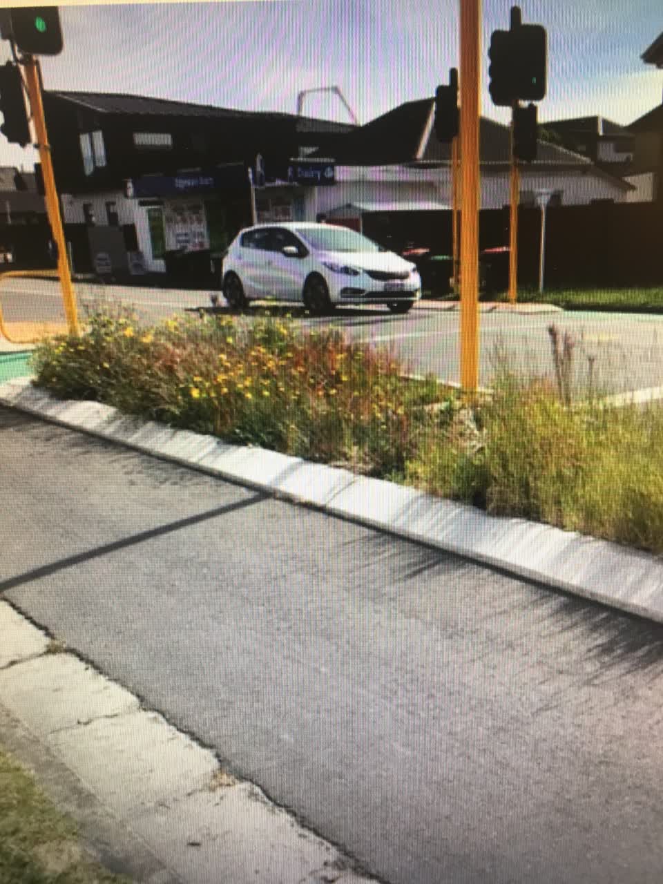 The photograph attached to this street light outage report
