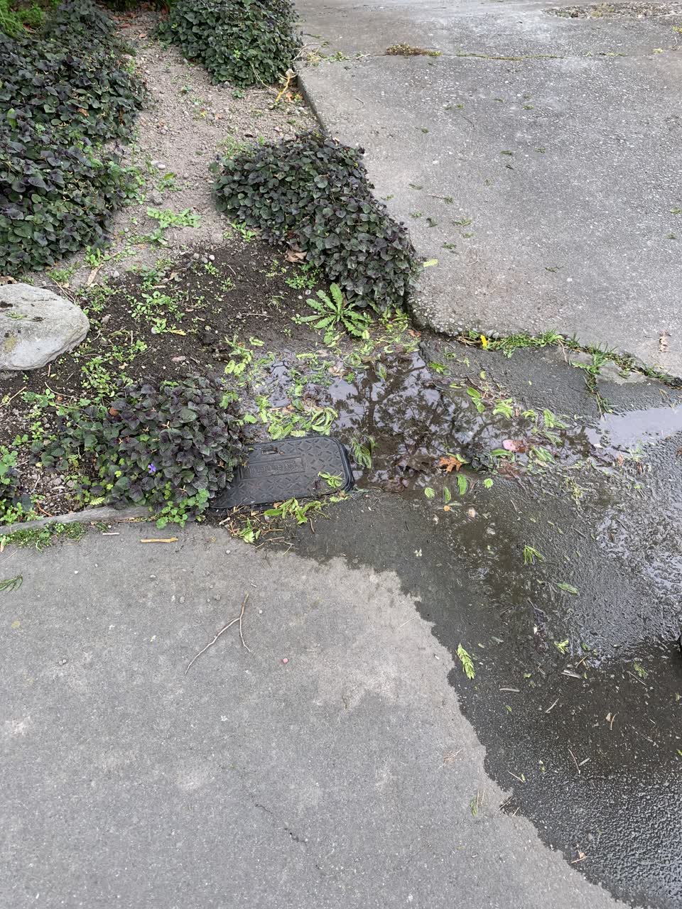 The photograph attached to this water leak report
