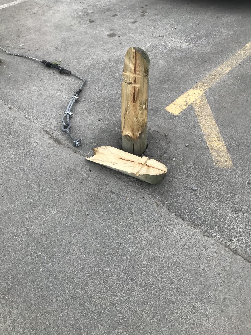 The photograph attached to this parks report