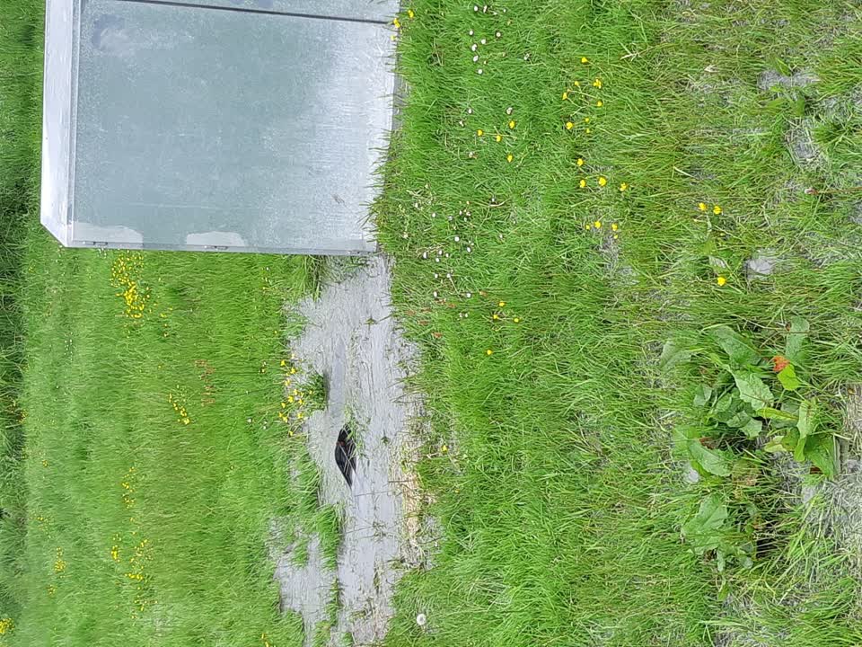 The photograph attached to this water leak report