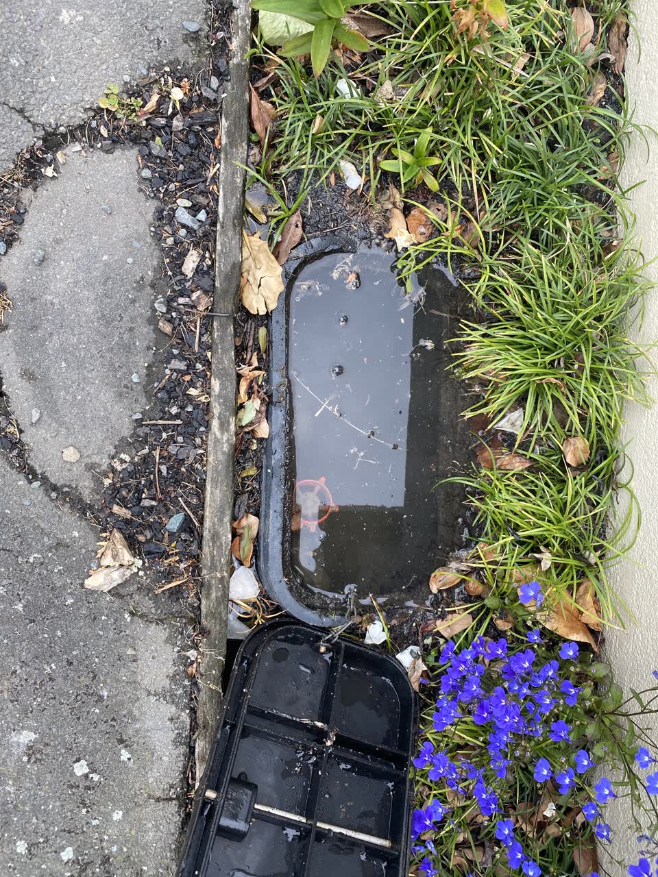 The photograph attached to this water supply report