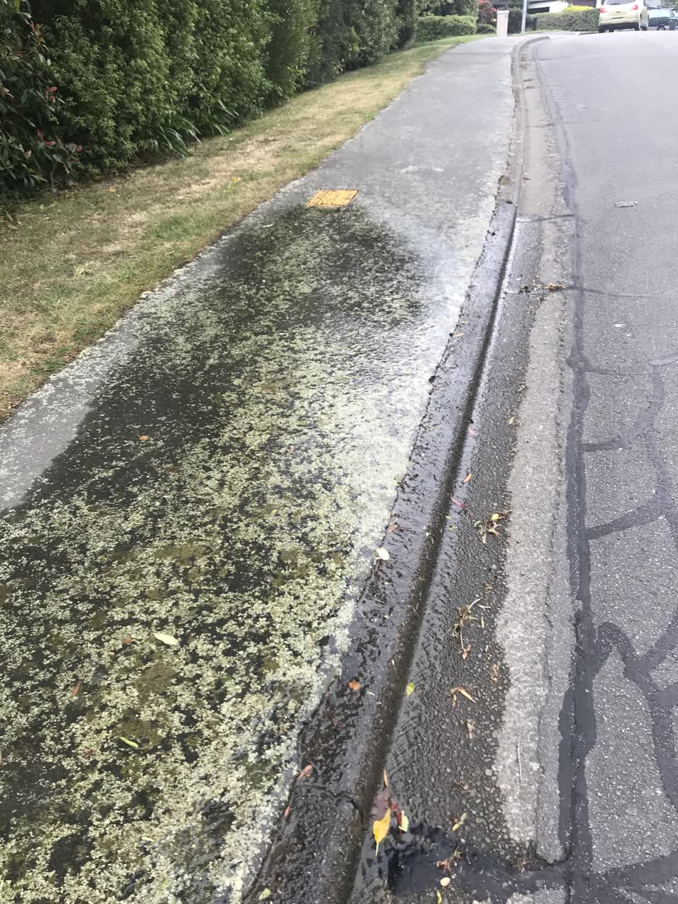 The photograph attached to this water leak report