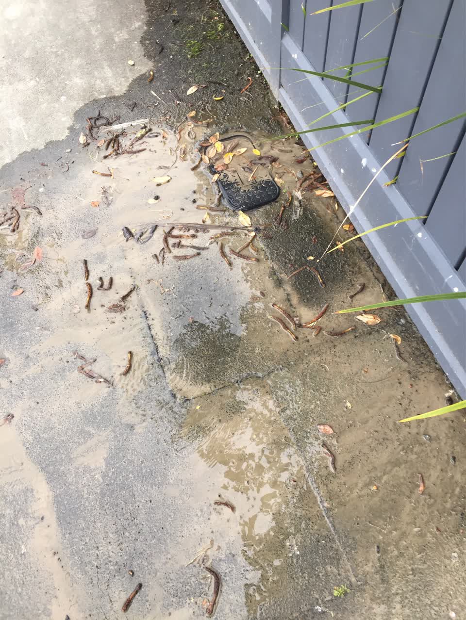 The photograph attached to this water leak report