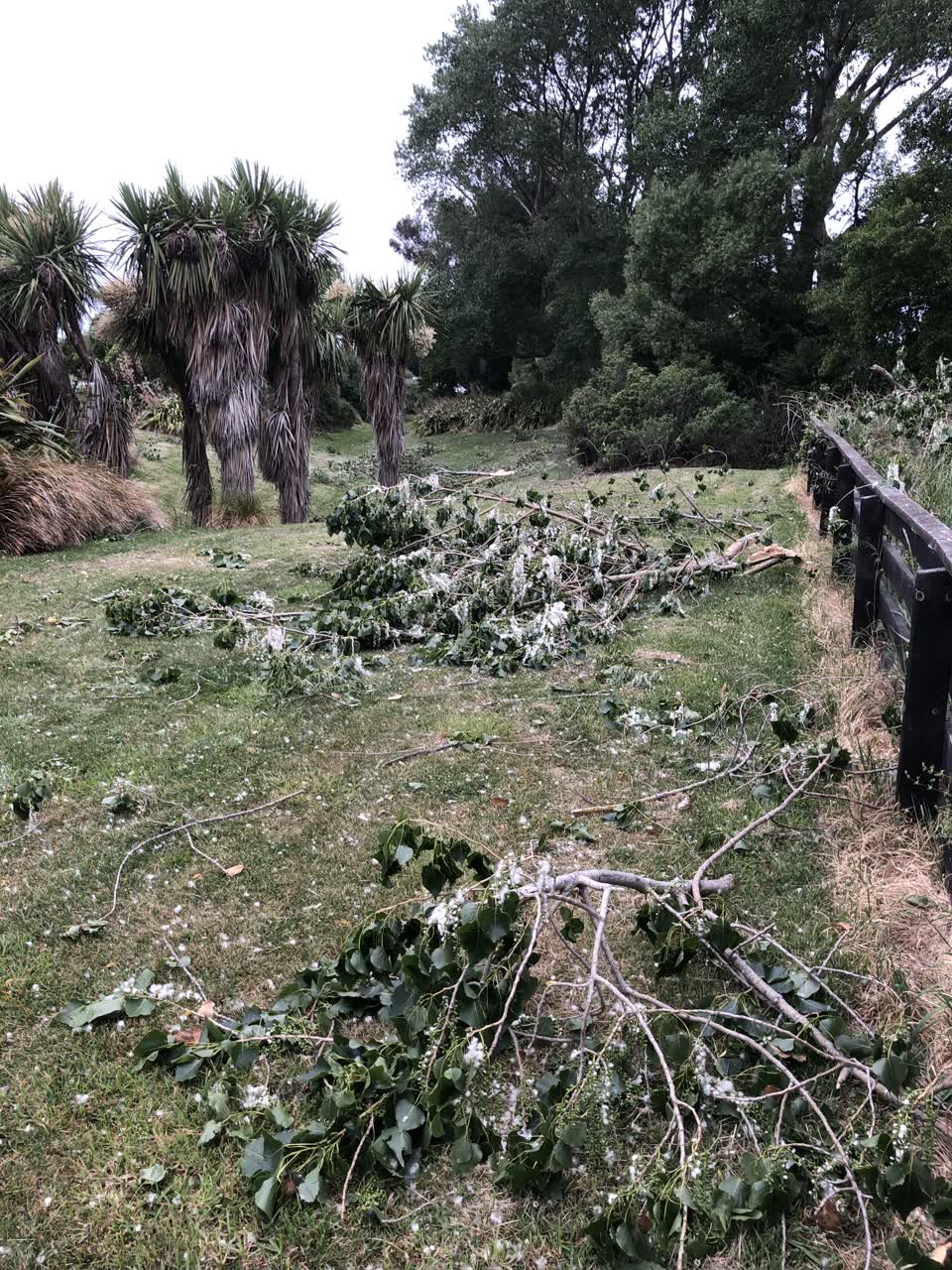The photograph attached to this parks report