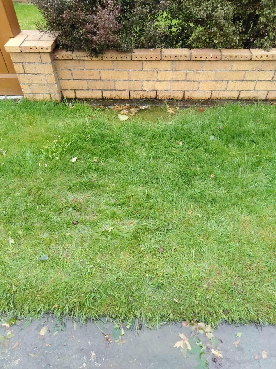 The photograph attached to this water leak report