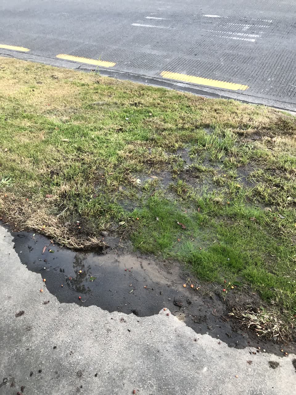 The photograph attached to this water leak report