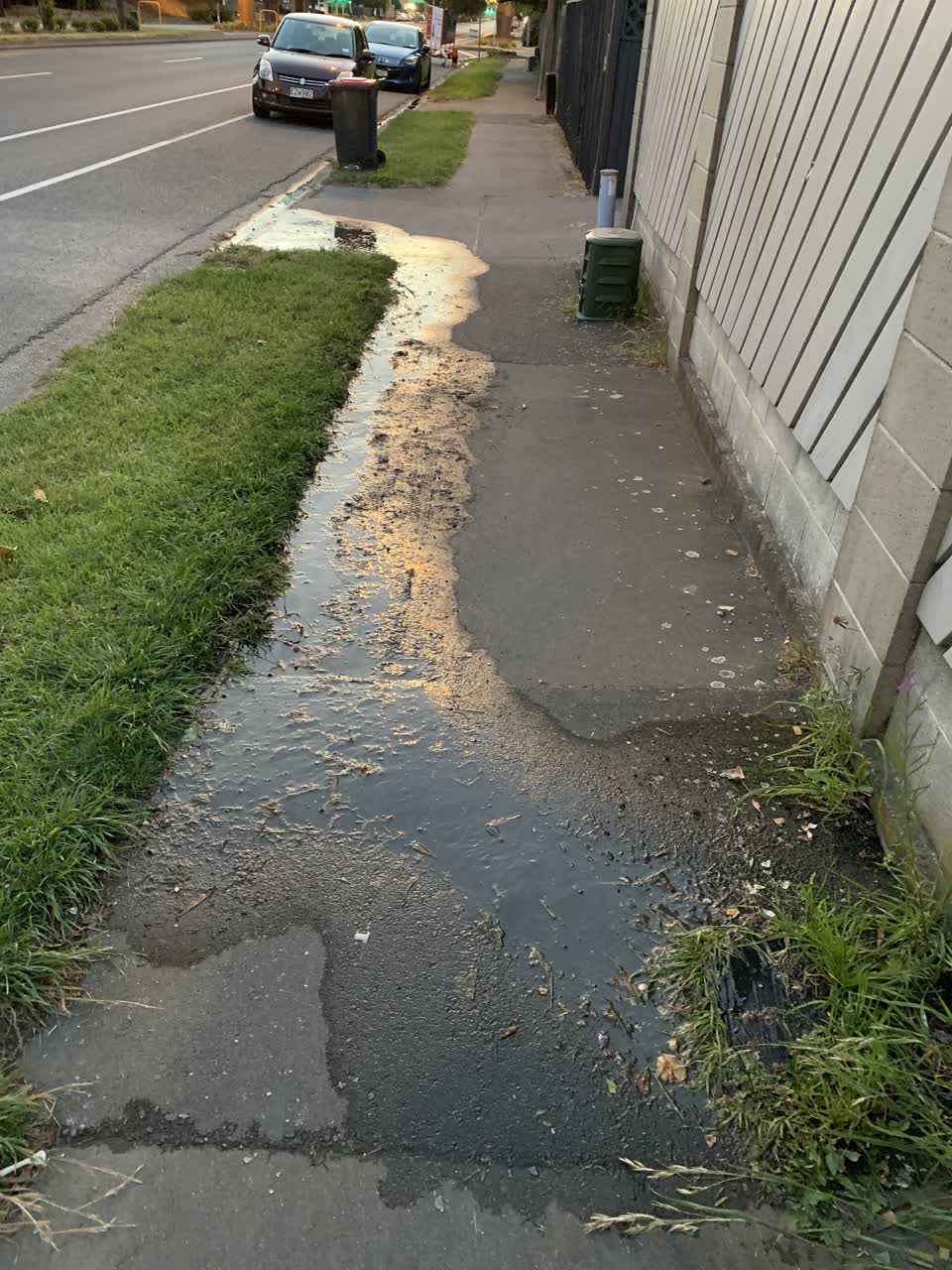 The photograph attached to this water leak report