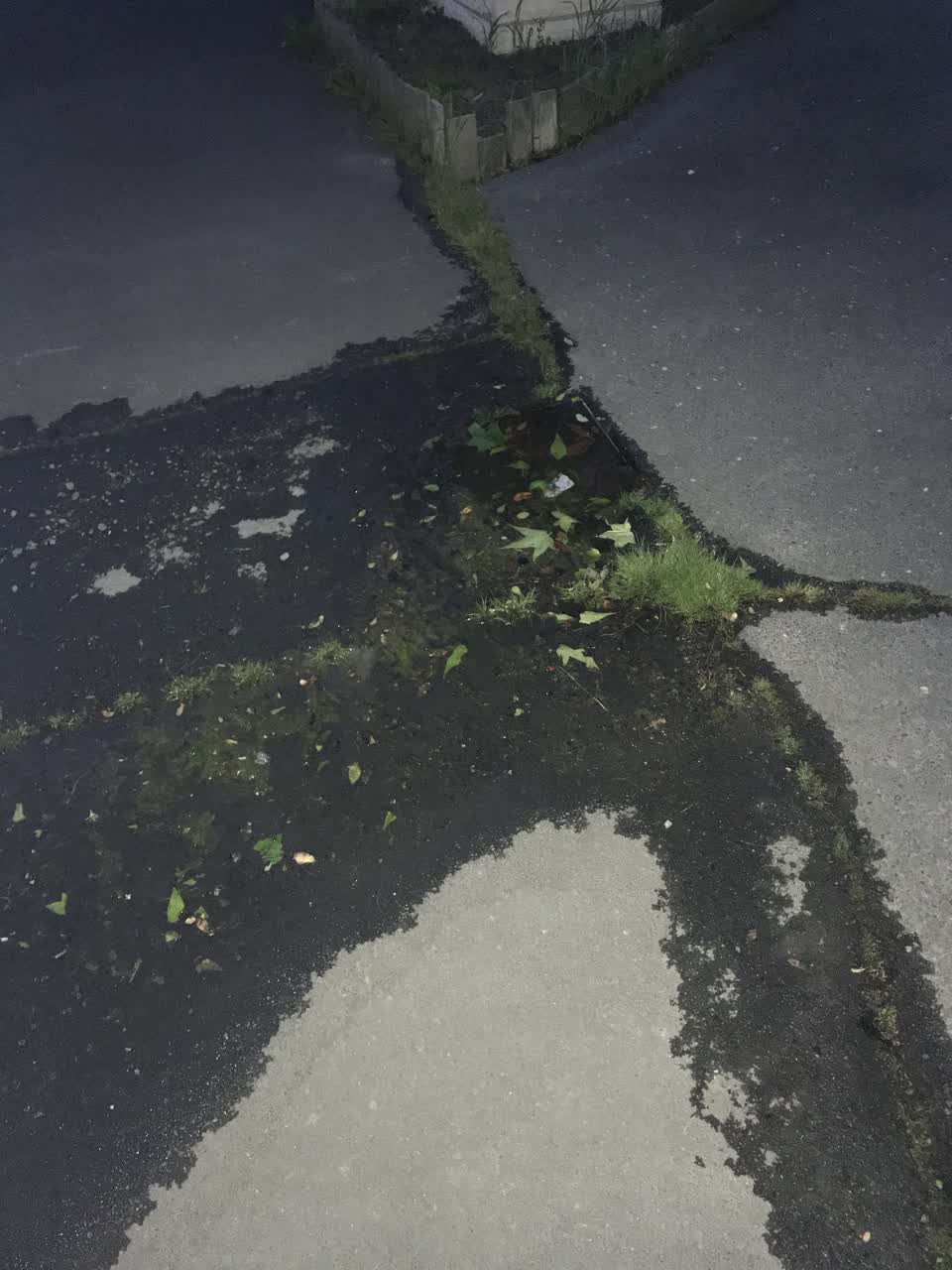 The photograph attached to this water leak report