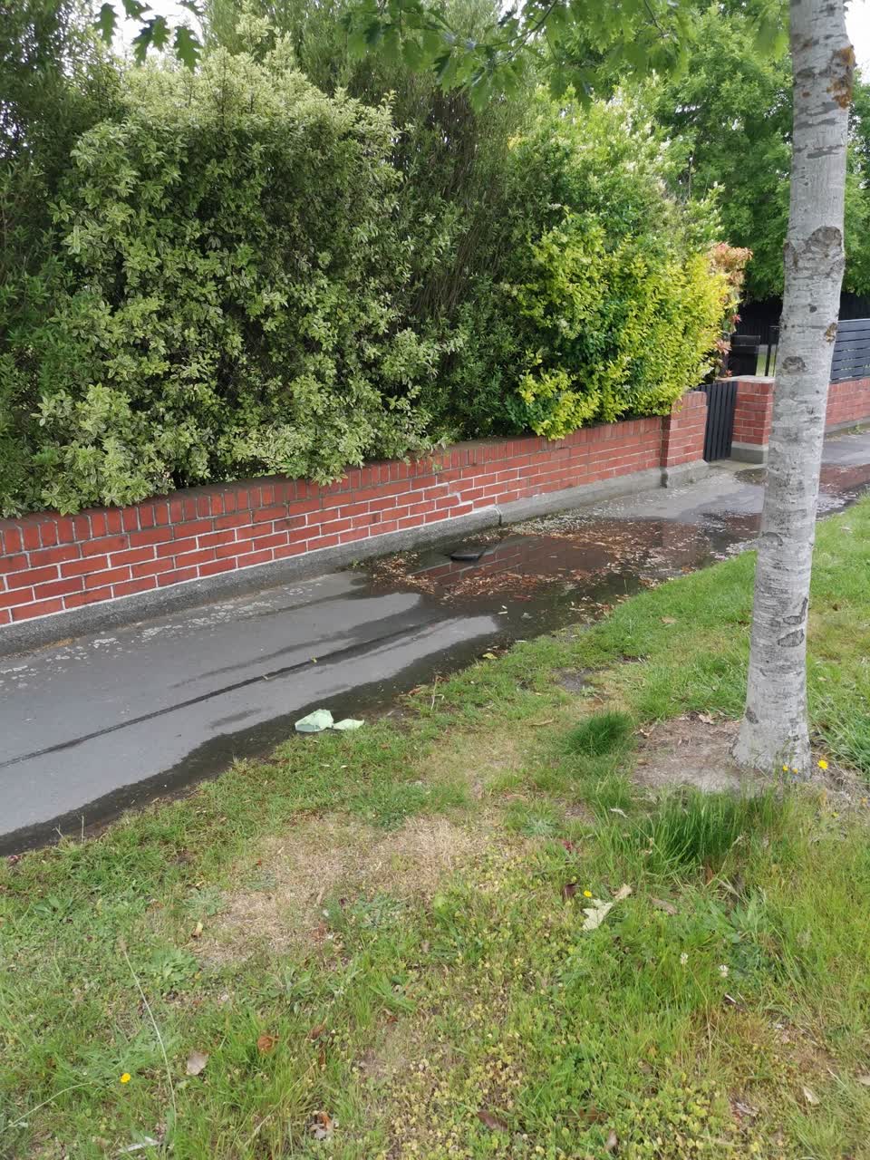 The photograph attached to this water leak report