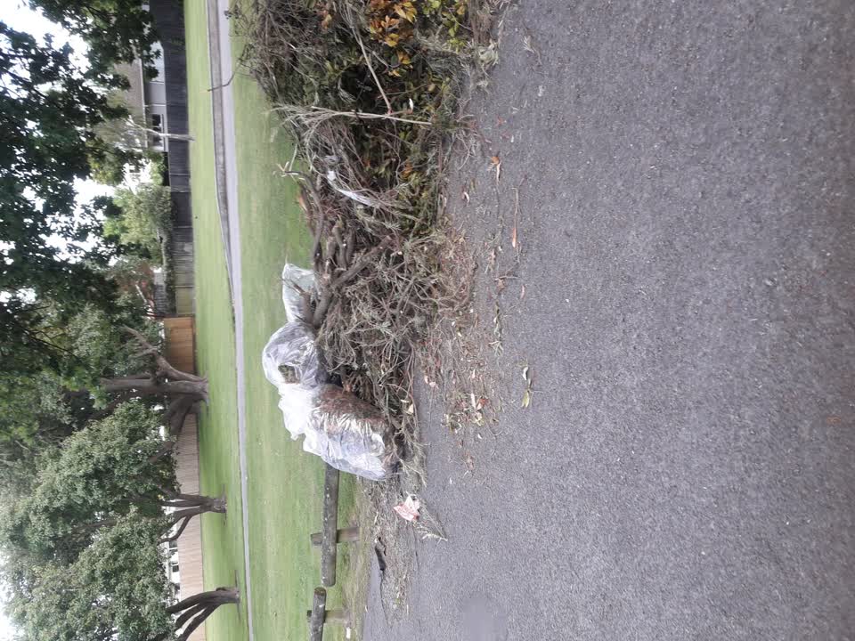 The photograph attached to this parks report
