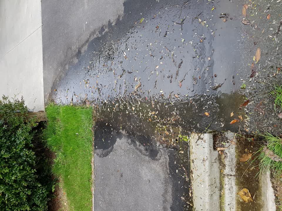 The photograph attached to this water leak report