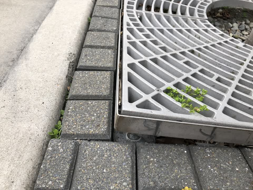 The photograph attached to this street light outage report