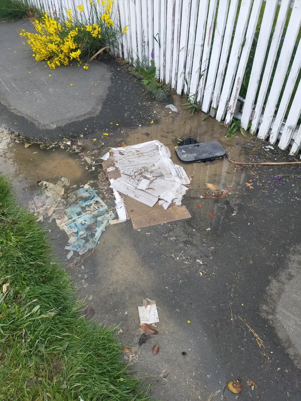The photograph attached to this water leak report