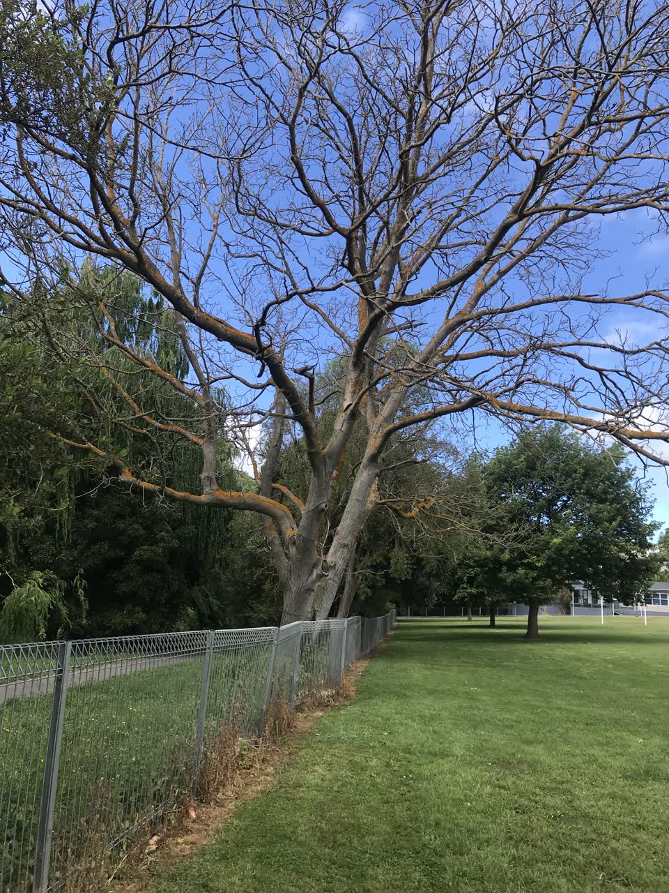 The photograph attached to this parks report