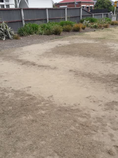 Parks, a report photo