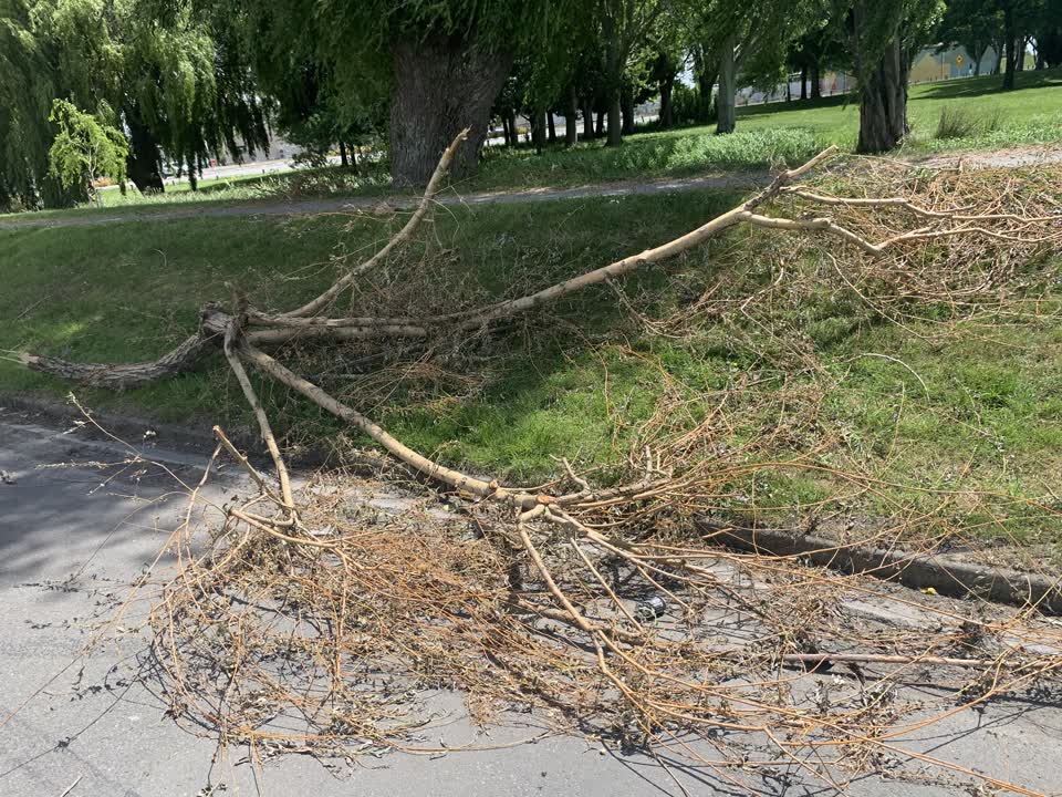 The photograph attached to this parks report