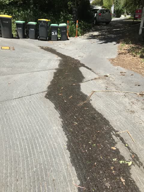 Water Leak, a report photo