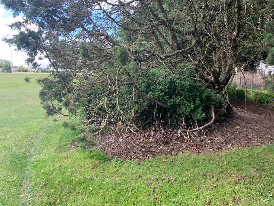 The photograph attached to this parks report
