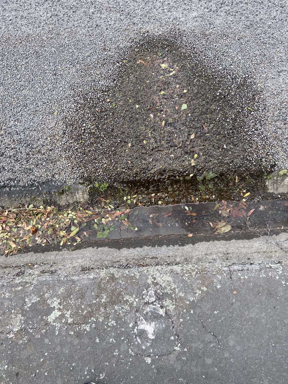The photograph attached to this water leak report