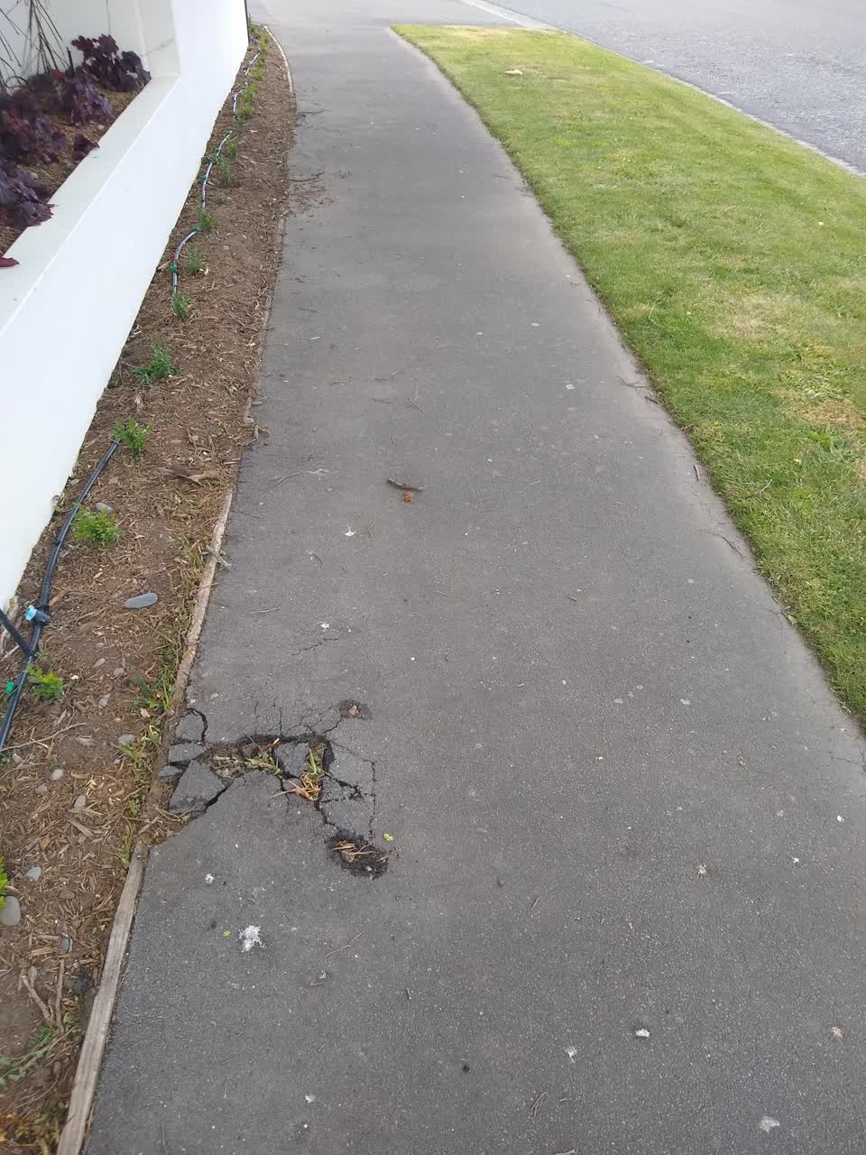 The photograph attached to this roading/streets report