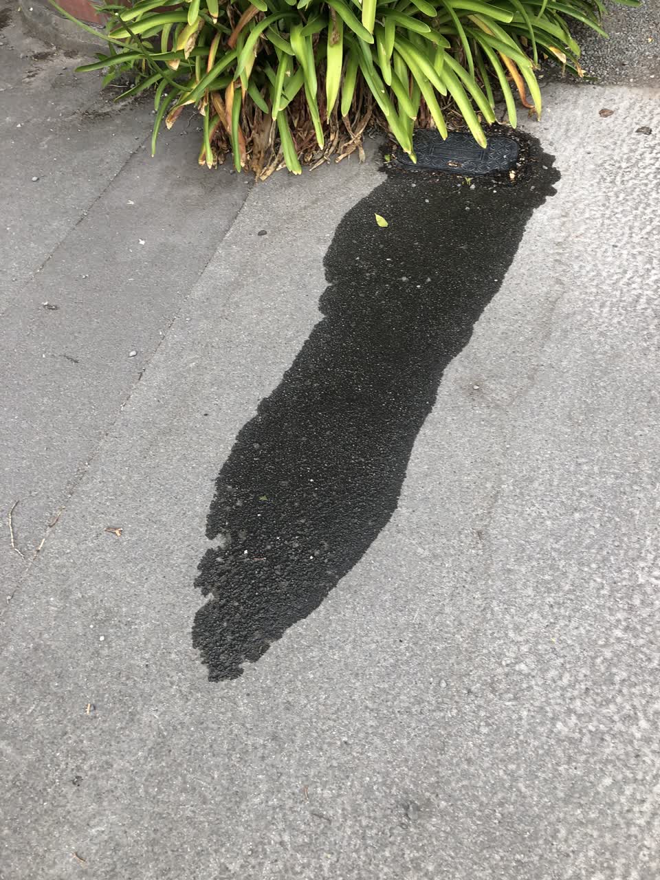 The photograph attached to this water leak report