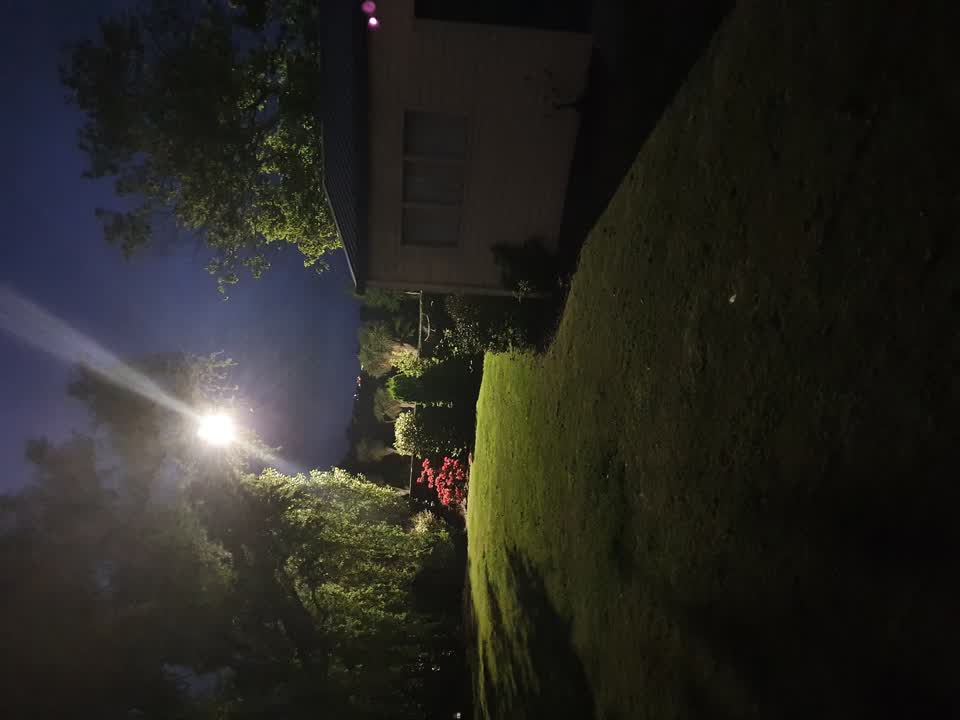 The photograph attached to this street light outage report