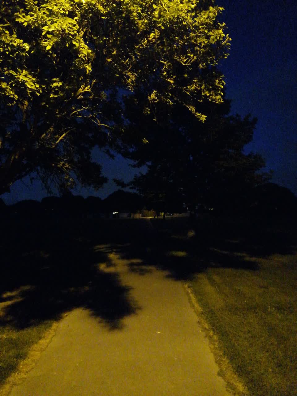 The photograph attached to this street light outage report