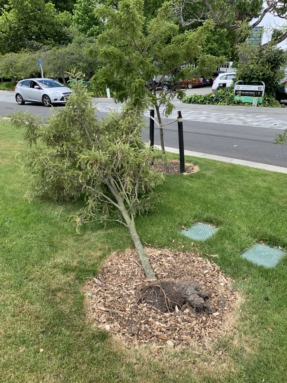 The photograph attached to this parks report