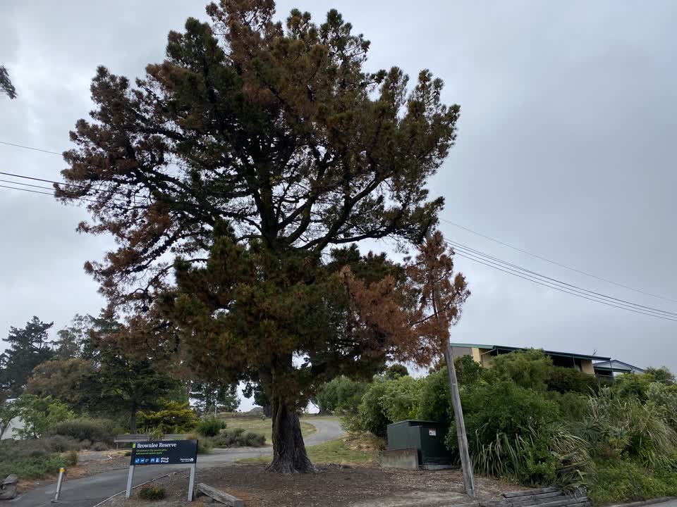 The photograph attached to this parks report