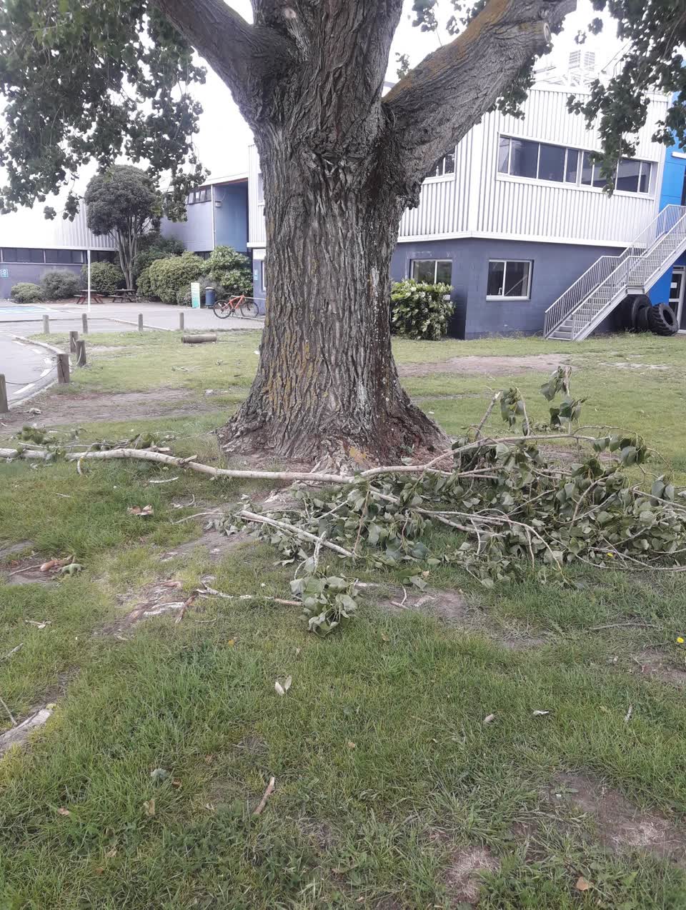 The photograph attached to this parks report