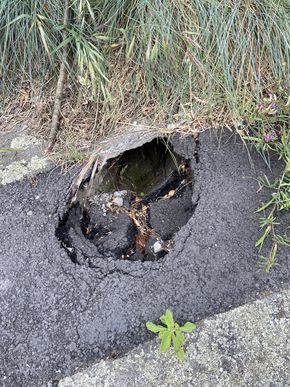 The photograph attached to this roading/streets report