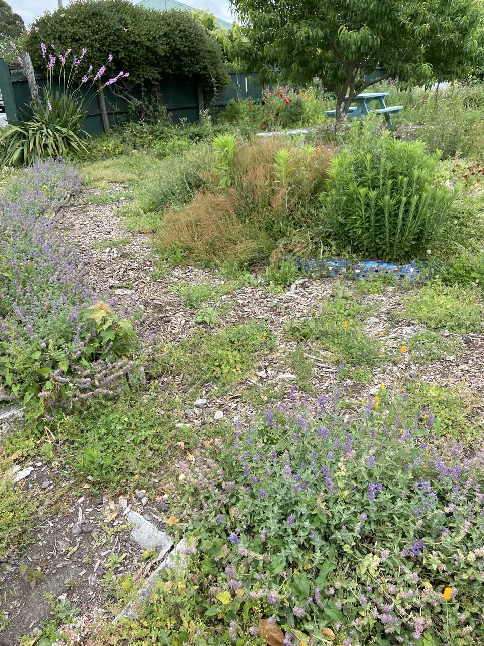 The photograph attached to this parks report