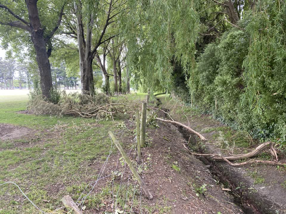 The photograph attached to this parks report