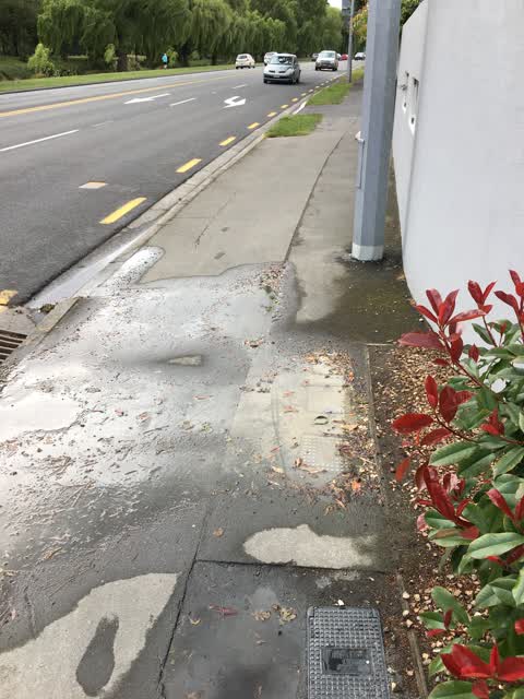 Water Leak, a report photo