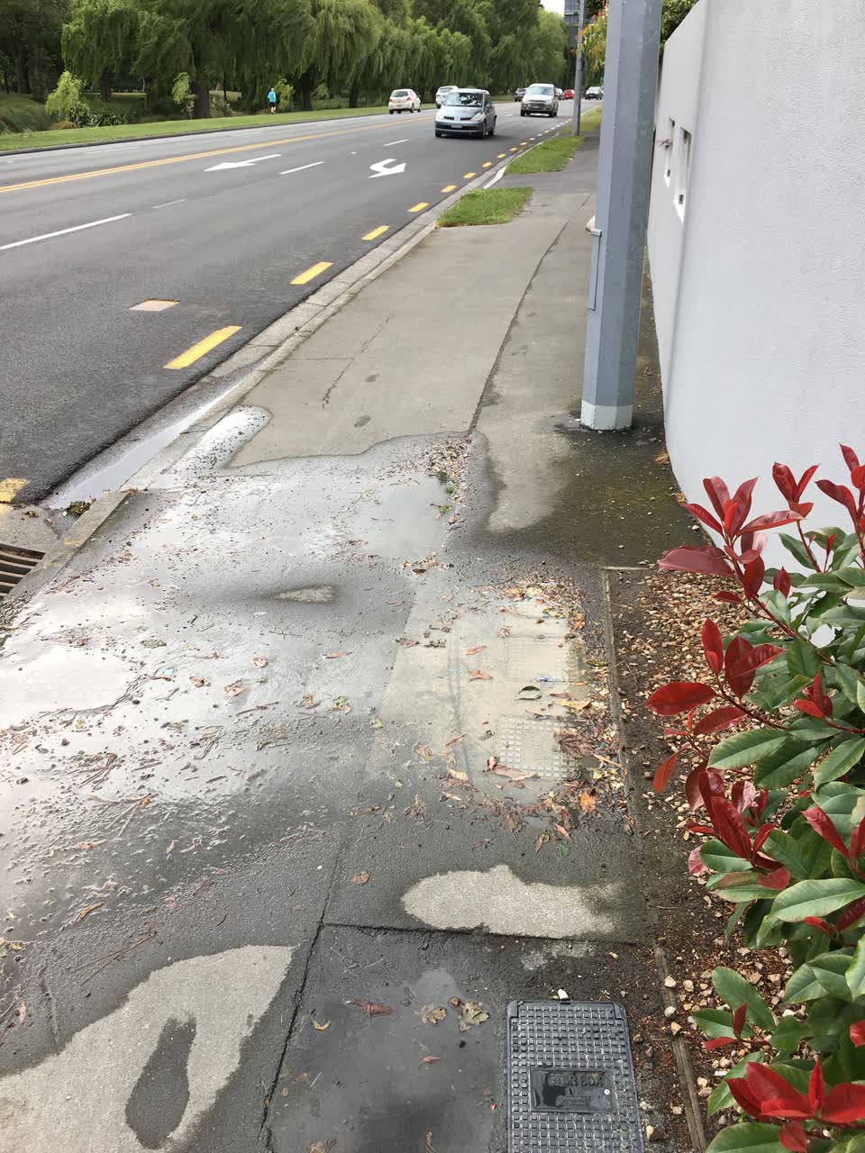 The photograph attached to this water leak report