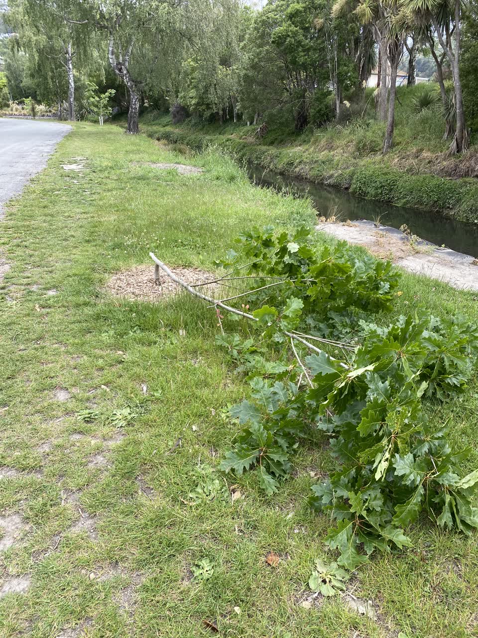 The photograph attached to this parks report