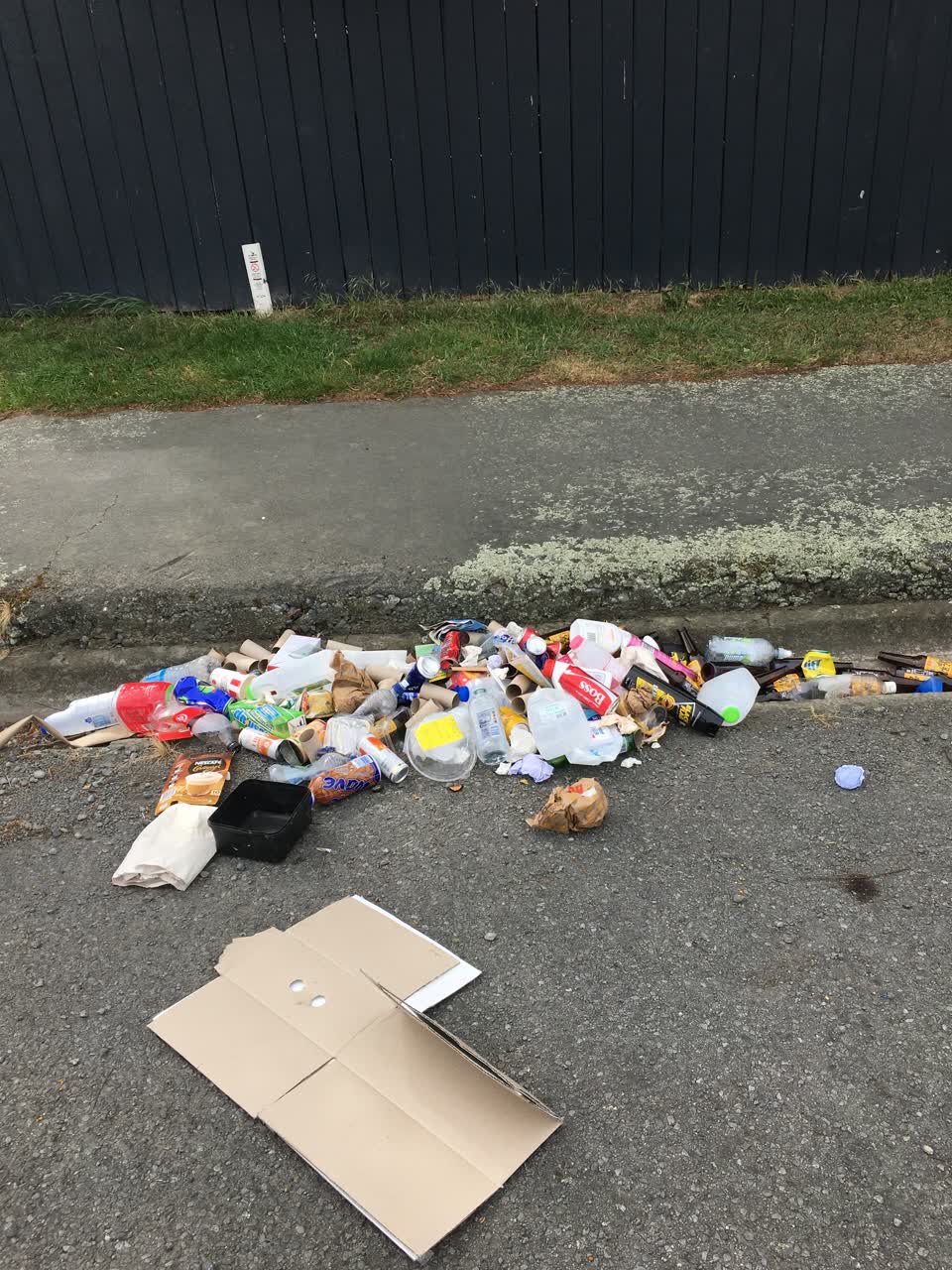 The photograph attached to this rubbish/recycling report