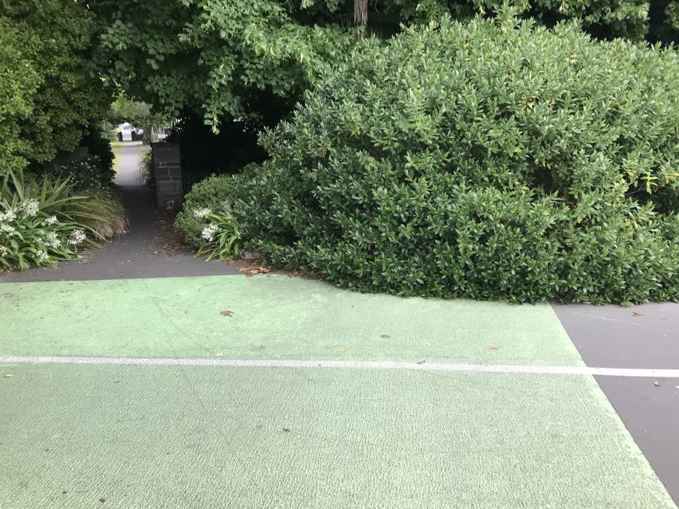 The photograph attached to this parks report