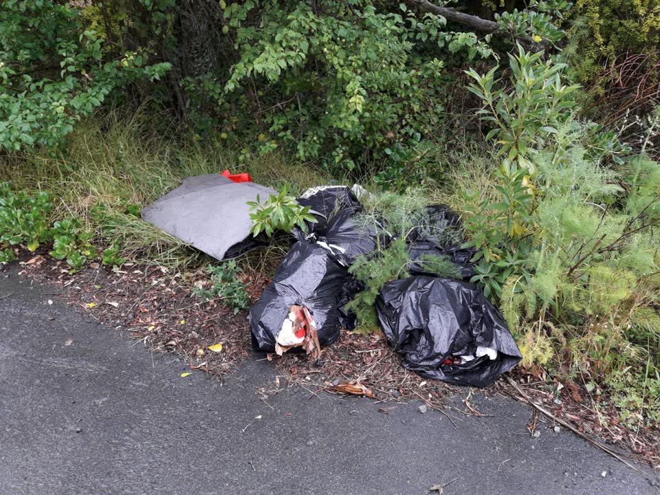 The photograph attached to this parks report