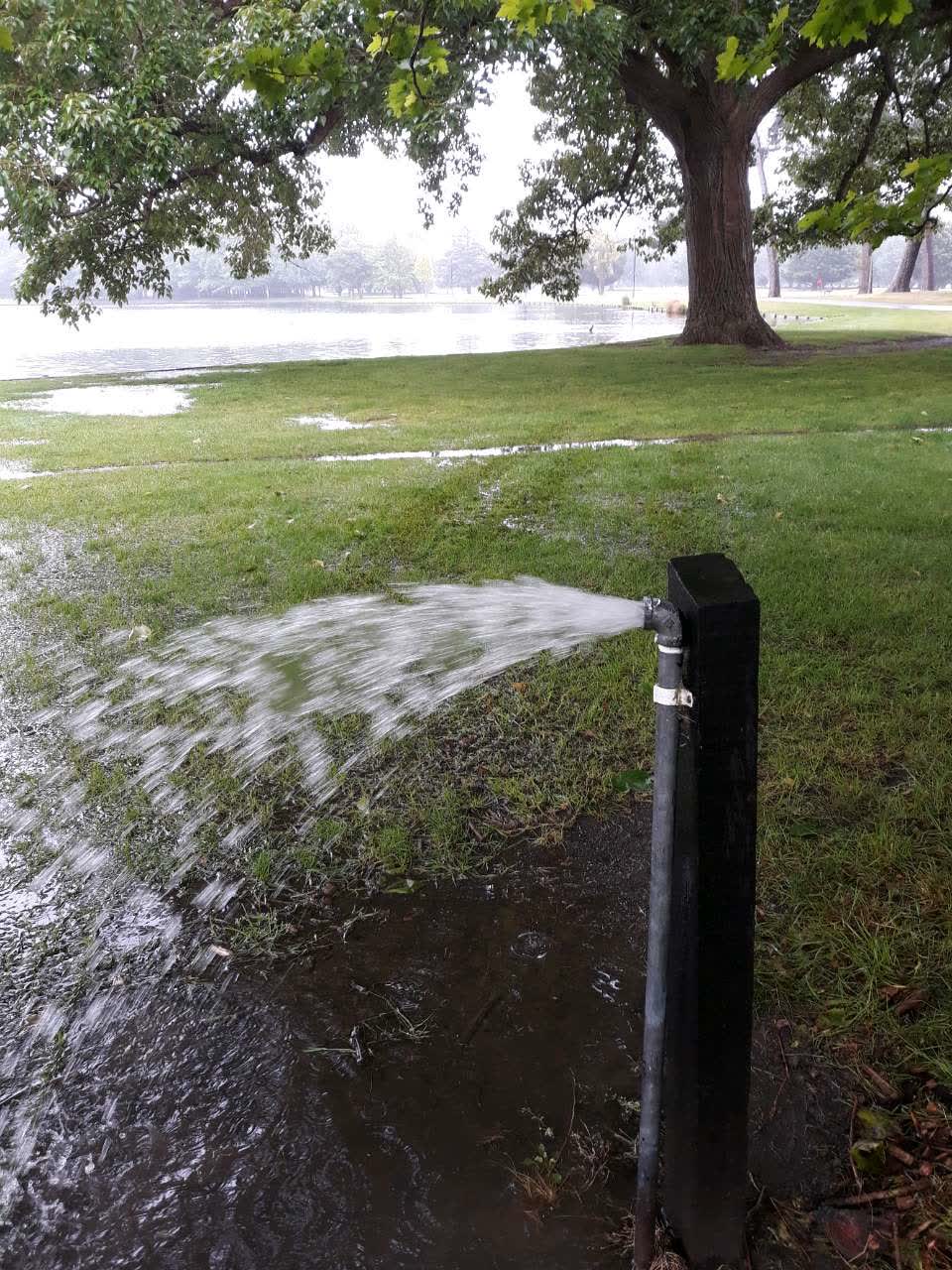 The photograph attached to this water leak report