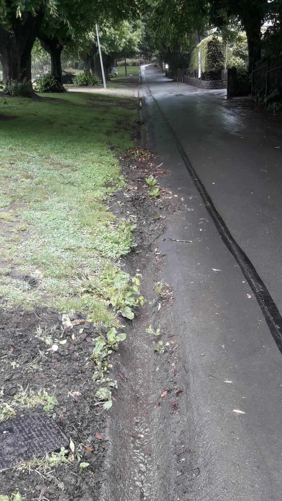 The photograph attached to this parks report
