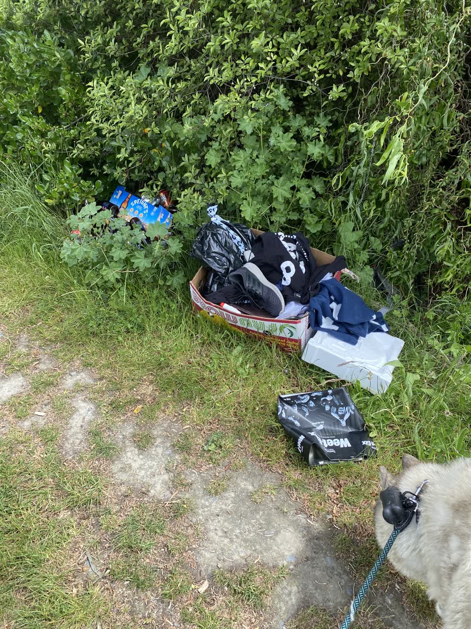 The photograph attached to this rubbish/recycling report