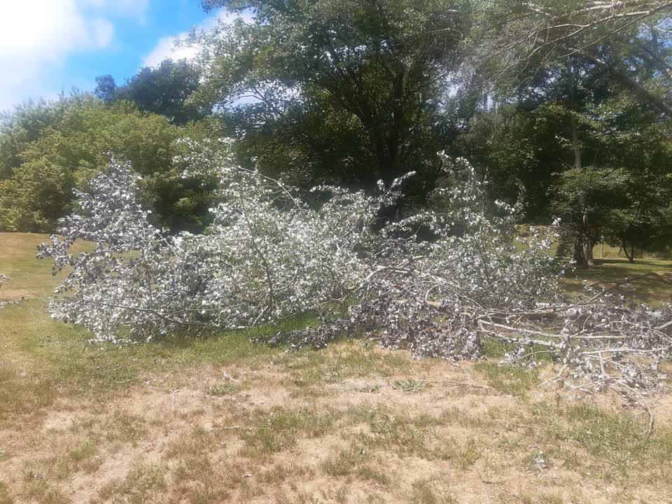 The photograph attached to this parks report